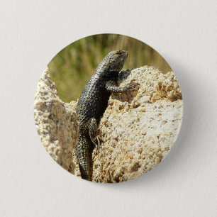 Spiny Lizard med gult vid Joshua Träd Knapp