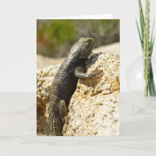 Spiny Lizard med gult vid Joshua Träd Kort