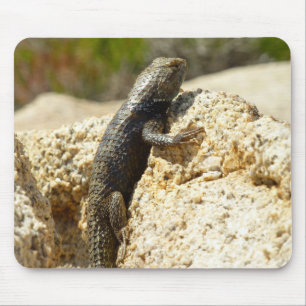 Spiny Lizard med gult vid Joshua Träd Musmatta