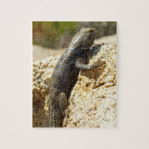 Spiny Lizard med gult vid Joshua Träd Pussel