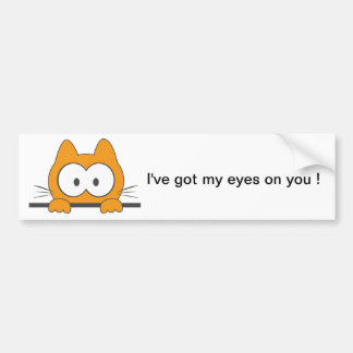 Spionkatt Bildekal