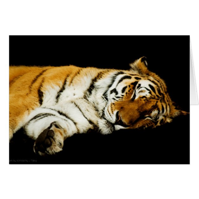 Spipande Amur Card OBS Kort (Framsidan Horizontal)