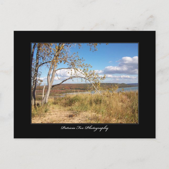 Spipande Bear Sand Dunes 1 - vykort (Framsida)