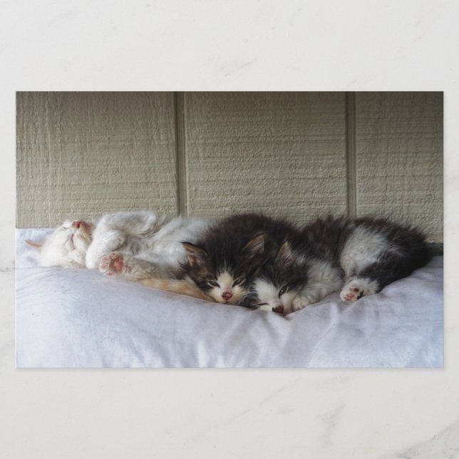 Spipande Beauties (Framsida)