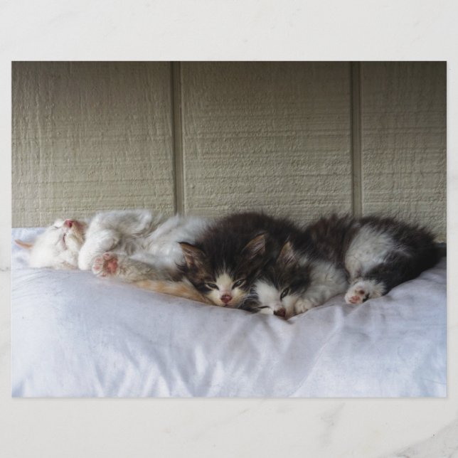 Spipande Beauties (Framsida)