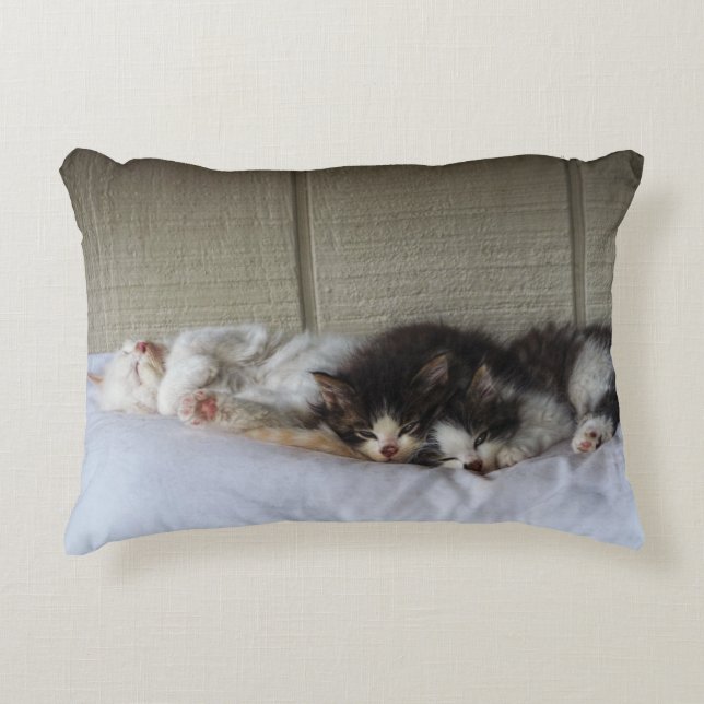 Spipande Beauties Prydnadskudde (Framsidan)