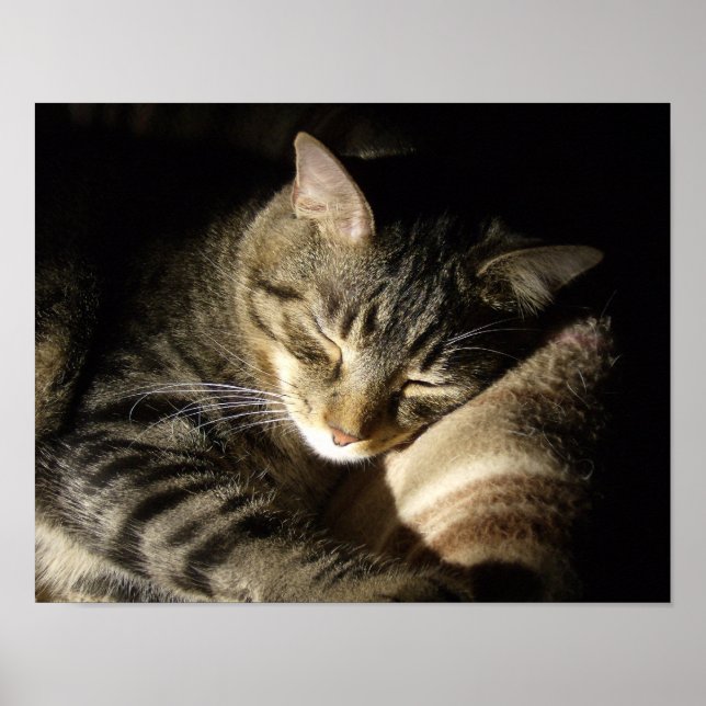 Spipande Beauty Poster (Framsidan)