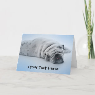 Spipande bulldog kort