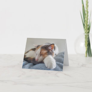 Spipande Calico Cat Kort