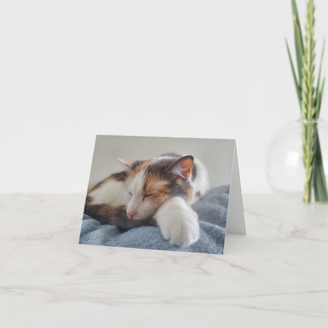 Spipande Calico Cat Kort (Framsida)