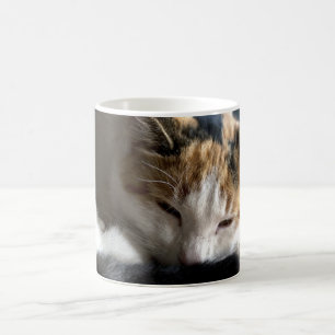 Spipande Calico Cat Magisk Mugg