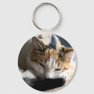 Spipande Calico Cat Nyckelring