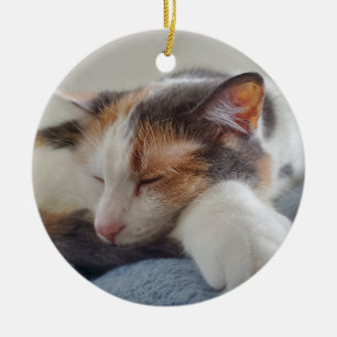 Spipande calikokatt julgransprydnad keramik