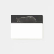 Spipande Cat Silhouette