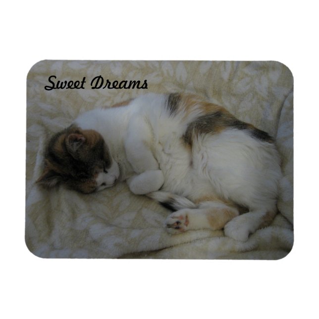 Spipande Cat-Sweet Dreams Magnet (Horisontell)