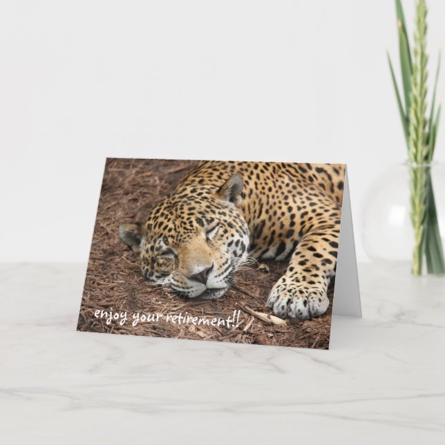 Spipande Cheetah, roligt pension-kort Kort (Framsida)