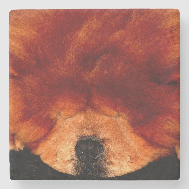 Spipande Chow Chow Coercna Stenunderlägg (Framsidan)