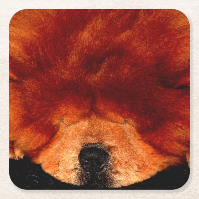 Spipande Chow Chow Coercna Underlägg Papper Kvadrat (Framsidan)