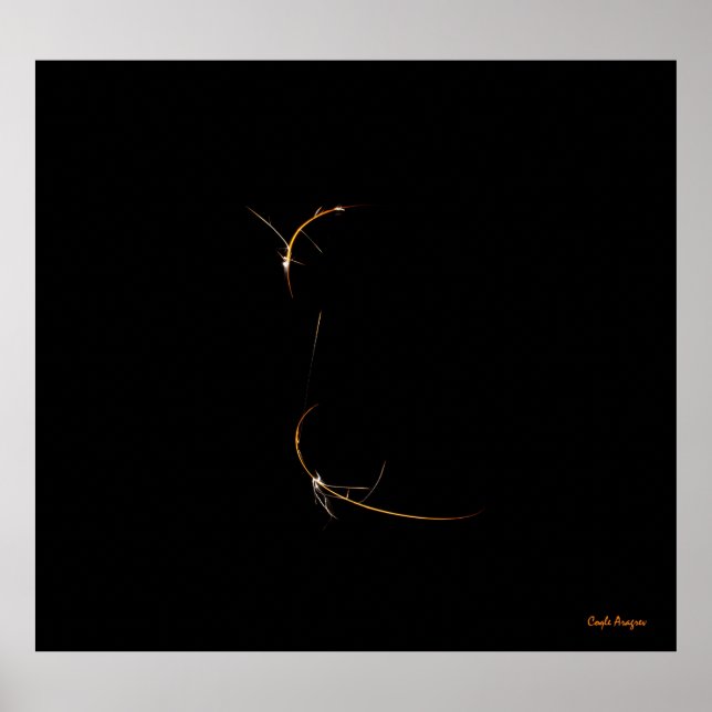 Spipande drake poster (Framsidan)