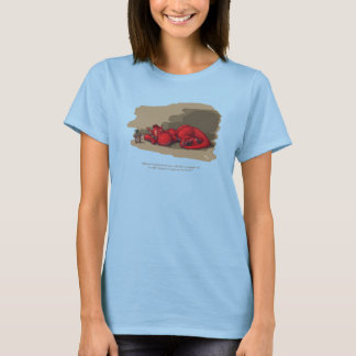 Spipande drake t shirt