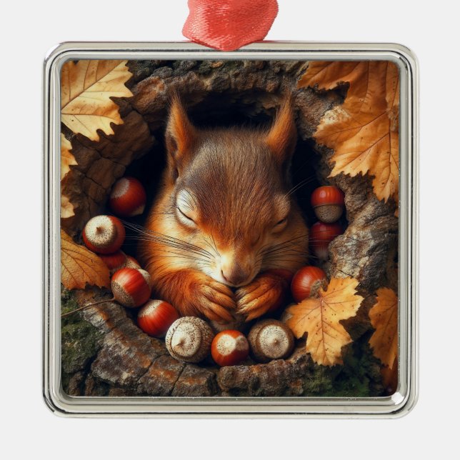 Spipande ekorre Ornament (Framsidan)