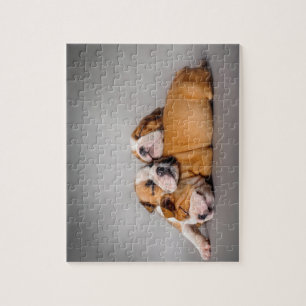 Spipande engelsk bulldog pussel