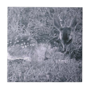 Spipande Fawn Kakelplatta