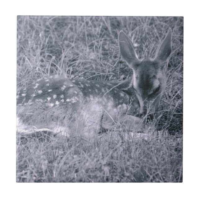 Spipande Fawn Kakelplatta (Framsidan)