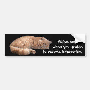 Spipande Ginger Cat Funny Wake Me Citat Bildekal