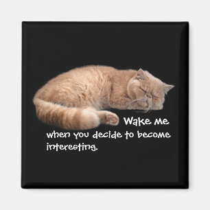 Spipande Ginger Cat Funny Wake Me Citat Magnet