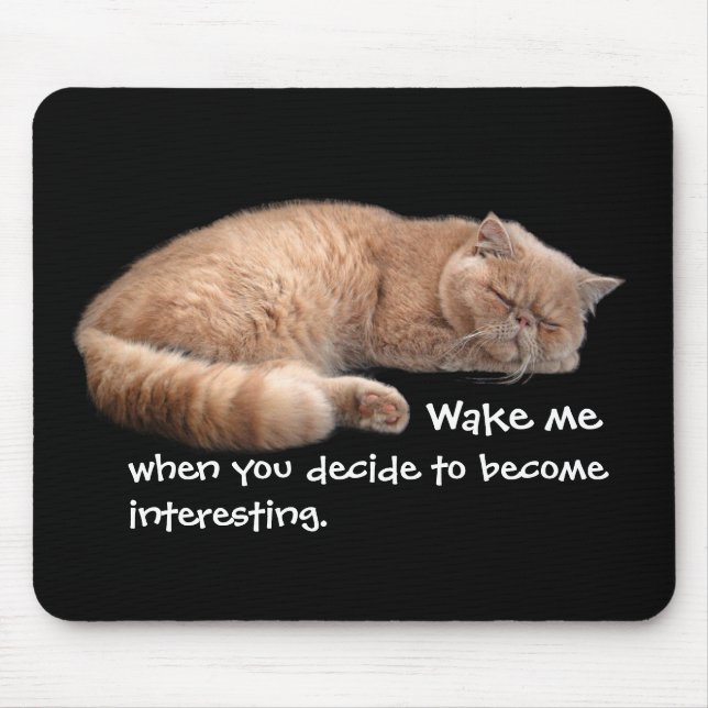 Spipande Ginger Cat Funny Wake Me Citat Musmatta (Framsidan)