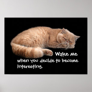 Spipande Ginger Cat Funny Wake Me Quote Poster