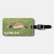 Spipande Hjort i viloläge under hösten på ängar