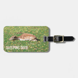 Spipande Hjort i viloläge under hösten på ängar Bagagebricka