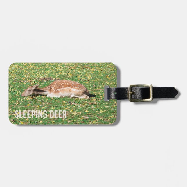 Spipande Hjort i viloläge under hösten på ängar Bagagebricka (Horisontell Framsida)