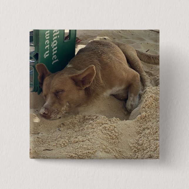 Spipande hund knapp (Framsida)