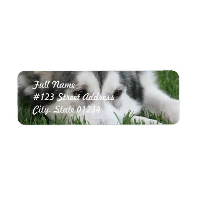 Spipande Husky Hund-segeletikett Returadress Etikett (Framsidan)