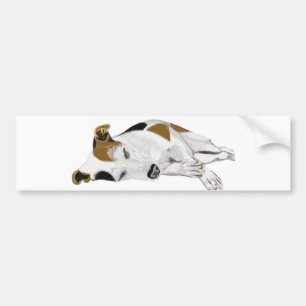 Spipande Jack Russell Bildekal