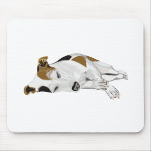 Spipande Jack Russell Musmatta