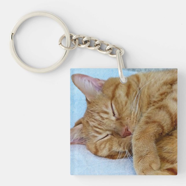 Spipande katt (Framsidan)
