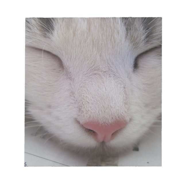 Spipande katt anteckningsblock (Framsida)