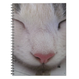 Spipande katt anteckningsbok med spiral