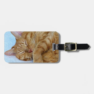 Spipande katt bagagebricka