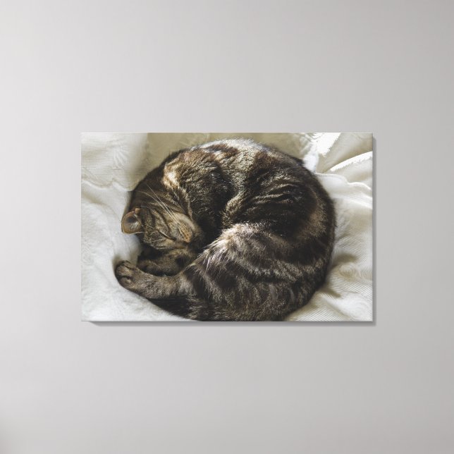Spipande katt canvastryck (Framsida)