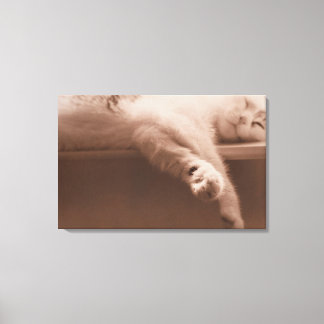 Spipande katt canvastryck