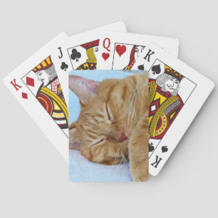 Spipande katt casinokort