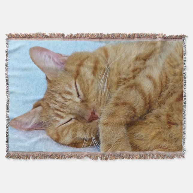 Spipande katt filt (Framsidan)