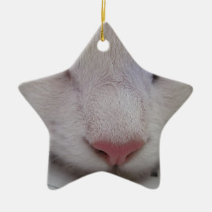 Spipande katt julgransprydnad keramik