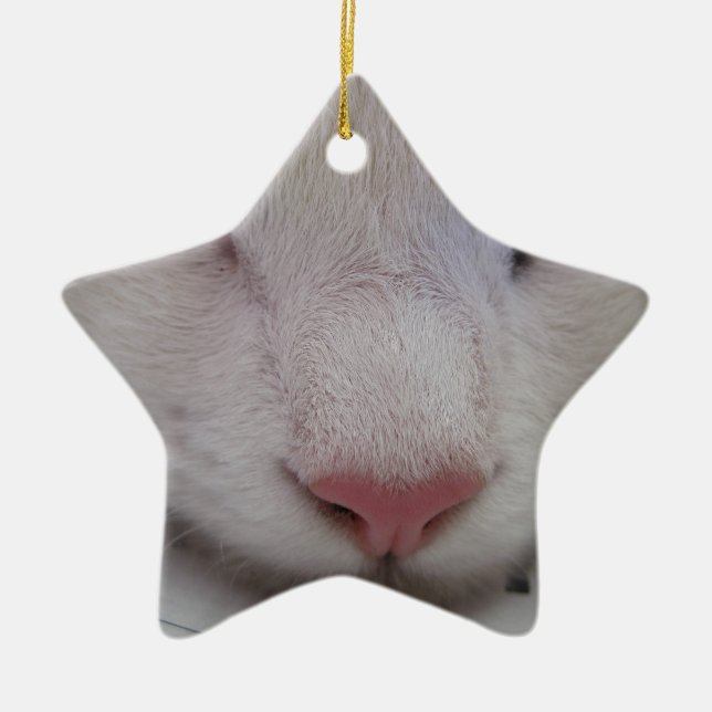 Spipande katt julgransprydnad keramik (Framsidan)