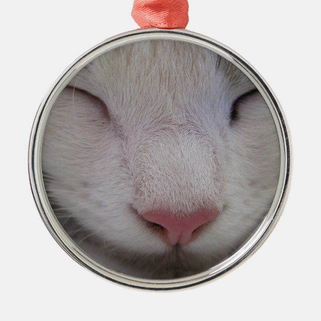 Spipande katt julgransprydnad metall (Framsidan)